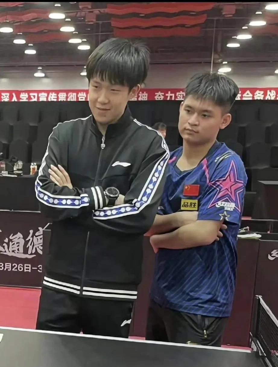 乒乓球季后赛上演强强对话，燕山貔貅队淘汰对手瓯越灰熊队，战术调整见效；细节处理更胜一筹的简单介绍